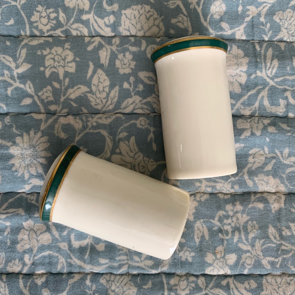 Royal Doulton China salt and pepper shakers